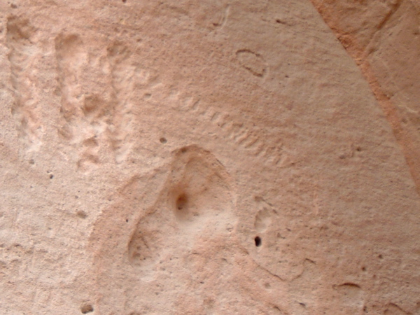 Petroglyphs 5