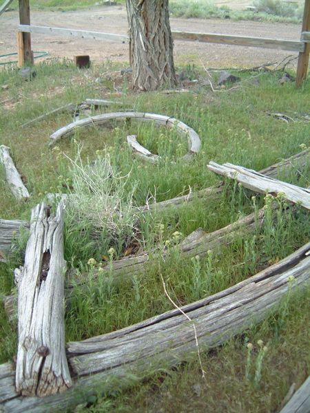 Wood