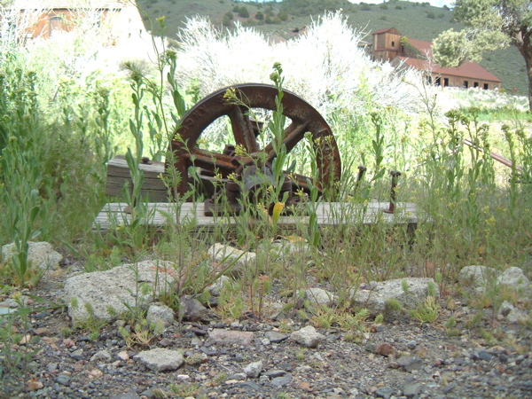 Wheel