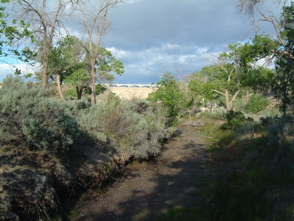 Lahontan Dam in the Light