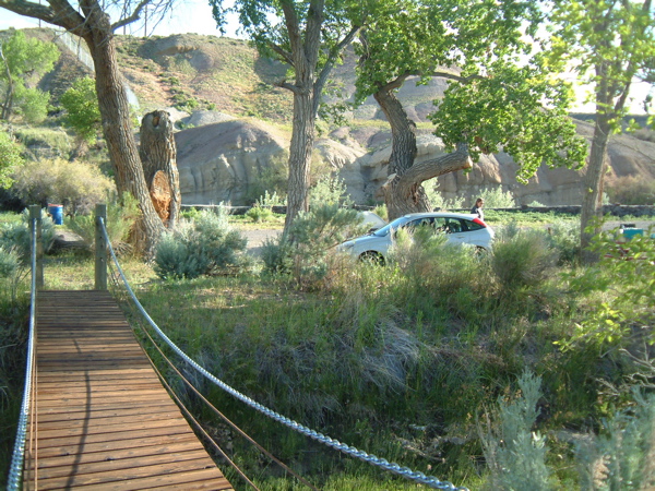 River Camp Site #10