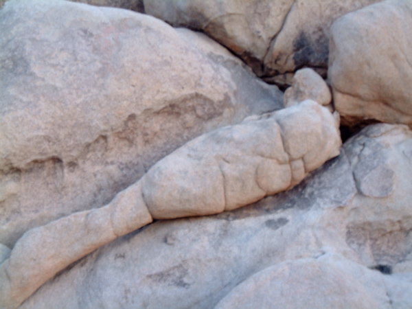 Reclining or 2 Faces