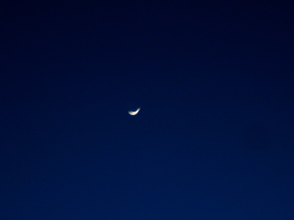 Lady Luna - 5.10.05