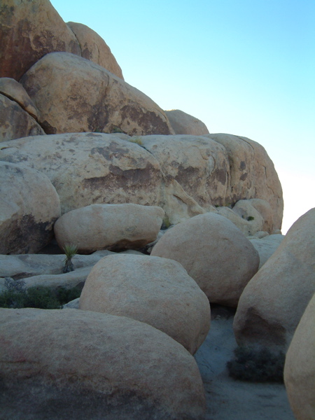 Belle Campground, Joshua Tree, CA
