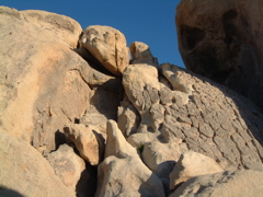 Rocky Scales