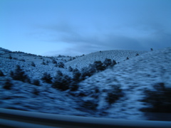 Ely, NV