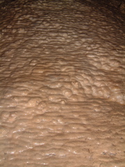Lehman Caves 4