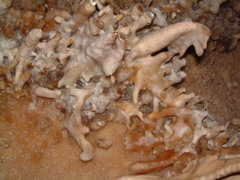 Lehman Caves 12