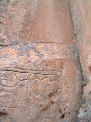 Curvilinear