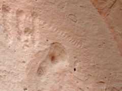 Petroglyphs 5