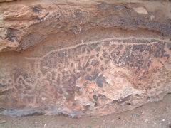 Zoomorphic