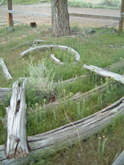 Wood