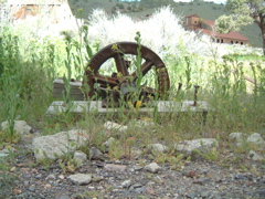 Wheel
