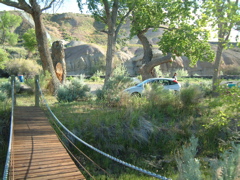 River Camp Site #10