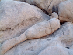Reclining or 2 Faces