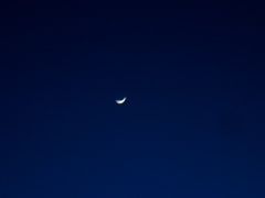 Lady Luna - 5.10.05