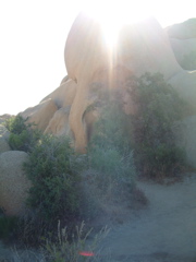 Sunflare