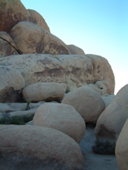 Belle Campground, Joshua Tree, CA