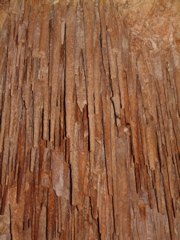 Soda Straws