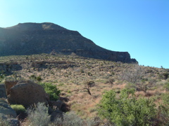 Mojave Natl Preserve
