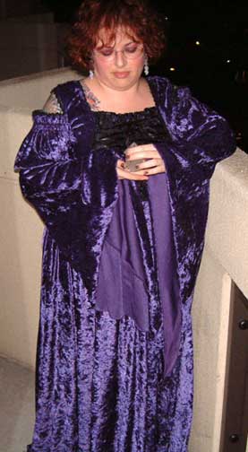 Purple Velvet Dress