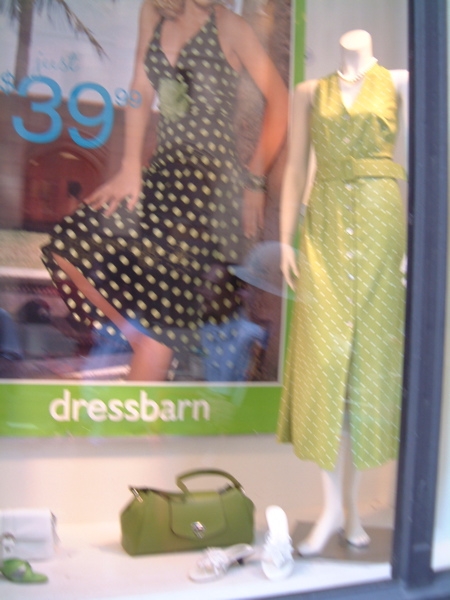 Stupid DressBarn